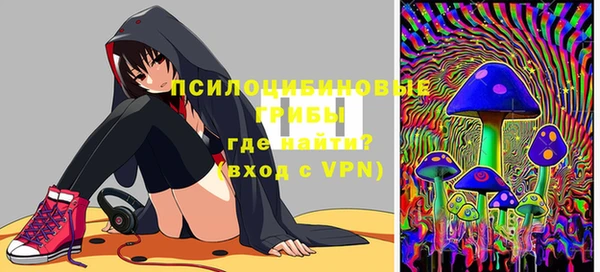 крисы Алексин