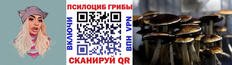 блэк спрут вход  Алейск  Псилоцибиновые грибы Psilocybine cubensis 