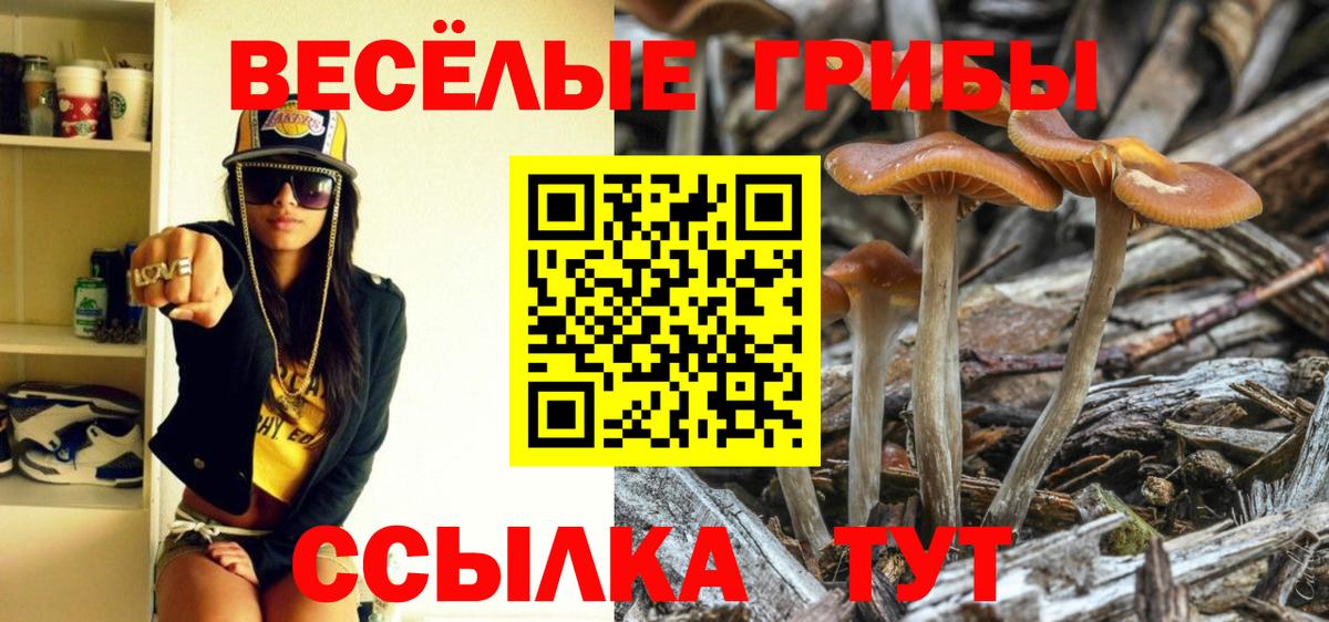 Алейск  Псилоцибиновые грибы мицелий  сколько стоит  Вход с VPN 