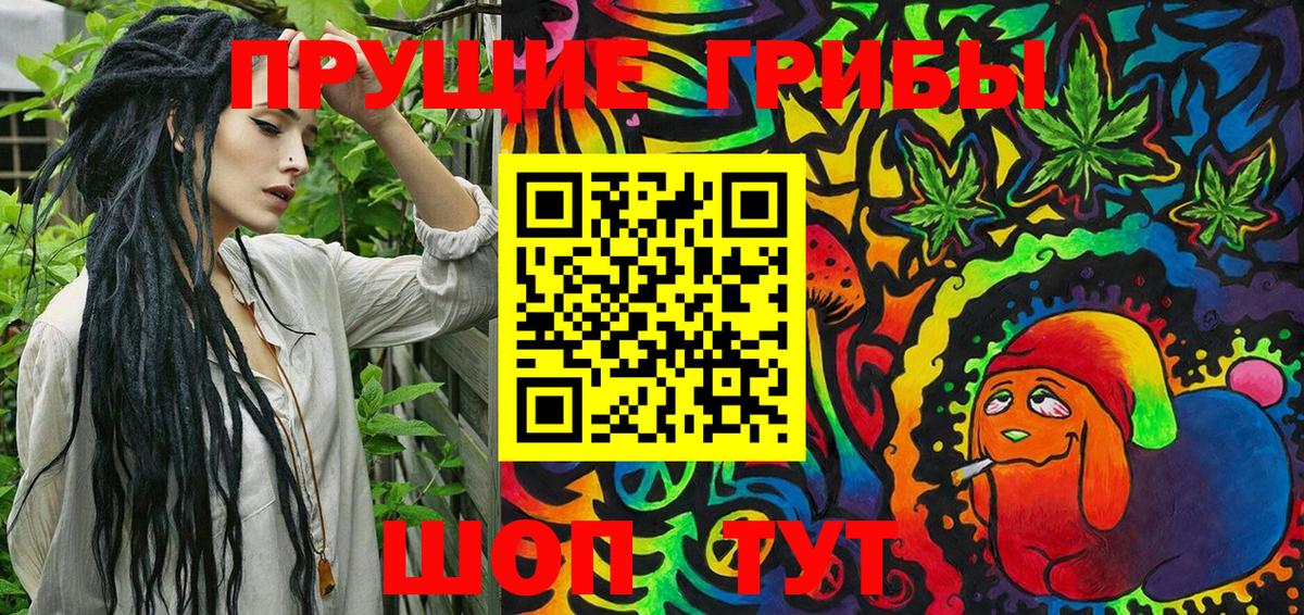 Псилоцибиновые грибы Cubensis Алейск