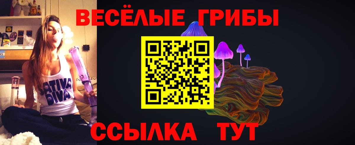 Псилоцибиновые грибы мицелий Алейск