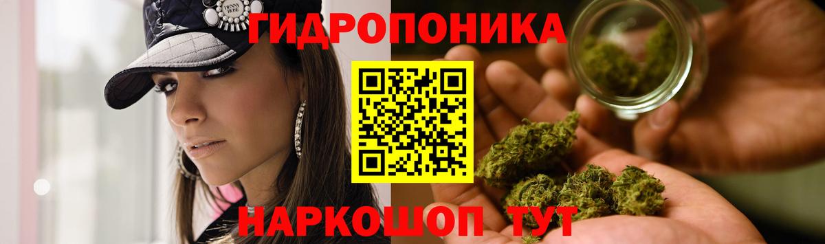 Бошки Шишки OG Kush  МАРИХУАНА ГИДРОПОН  Алейск  Канабис семена  Вход с VPN  Каннабис Bruce Banner 